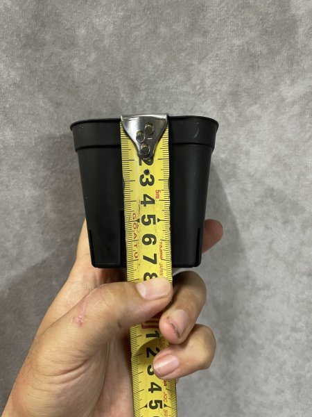 画像2: プレステラ 90 (2)