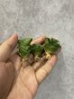 画像1: ミニコンド(D.Mini Condo) (1)